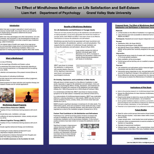 Mindfulness Meditation Effect on Life Satisfaction and Self-Esteem in Retirement Home Residents