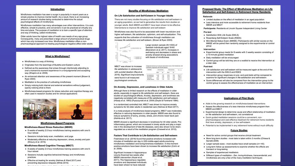 Mindfulness Meditation Effect on Life Satisfaction and Self-Esteem in Retirement Home Residents